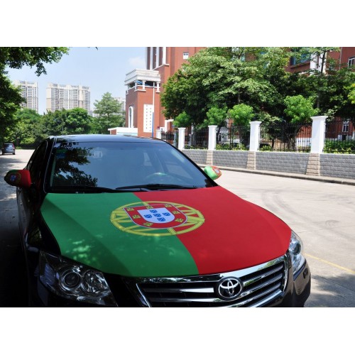 http://www.eagleflyflag.com/384-582-thickbox/brasil-fans-item-engine-hood-flag.jpg