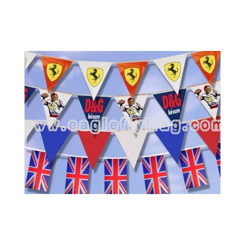 http://www.eagleflyflag.com/516-748-thickbox/polyester-printed-custom-party-bunting-flag.jpg