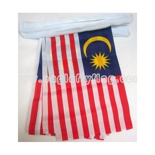 http://www.eagleflyflag.com/556-791-thickbox/polyester-printed-custom-party-bunting-flag.jpg