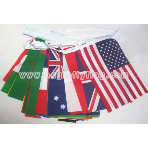http://www.eagleflyflag.com/557-792-thickbox/polyester-printed-custom-party-bunting-flag.jpg