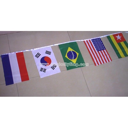 http://www.eagleflyflag.com/580-821-thickbox/polyester-printed-custom-party-bunting-flag.jpg