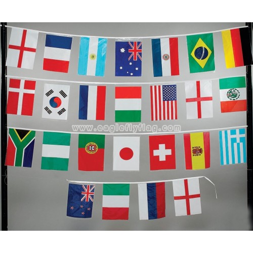 http://www.eagleflyflag.com/586-827-thickbox/polyester-printed-custom-party-bunting-flag.jpg